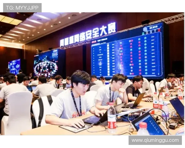 问鼎网页登录入口安全下载指南，保障玩家账号信息安全的最佳途径