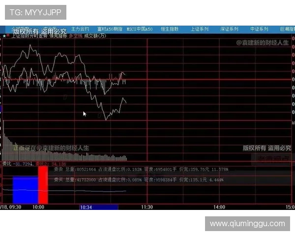 掌握世界杯指数查询方法及官方入口推荐帮助用户快速获取信息